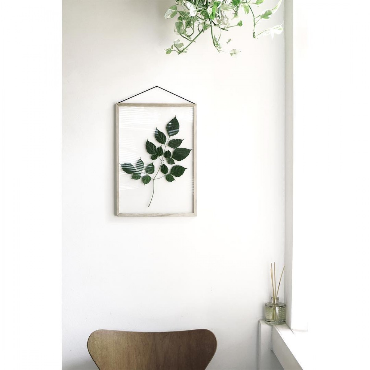 cadre transparent recto verso herbier design moebe artichaut concept store galerie cafe nantes